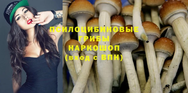 метадон Алзамай