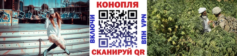 mega сайт  купить наркотики цена  Орлов  МАРИХУАНА семена 